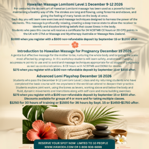 Hawaiian Massage Workshops December 9-16 2026